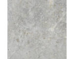 Hornbach Feinsteinzeug Bodenfliese Dione 60x60 cm grau glänzend rektifiziert