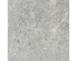 Feinsteinzeug Bodenfliese Dione 60x60 cm grau glänzend rektifiziert