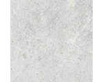 Hornbach Feinsteinzeug Bodenfliese Dione 60x60 cm weiß glänzend rektifiziert