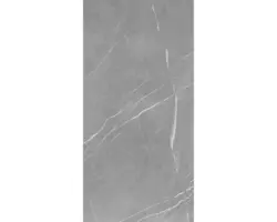 Feinsteinzeug Bodenfliese Navas 60x120 cm grau matt rektifiziert