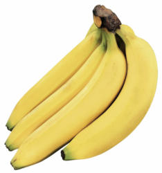 Bananes bio Fairtrade