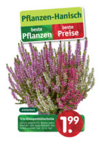 Pflanzen Hanisch Pflanzen Hanisch: beste Pflanzen. beste Preise - bis 06.10.2023