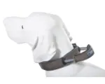 Hornbach Halsband ArmoredTech Dog Control Gr. S 33 38 cm mocca