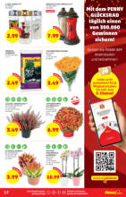 PENNY Entdeckt, was in PENNY steckt. bei PENNY - bis 04.10.2023