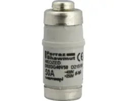 Sicherungseinsatz e2 D02 50 A, 3Stk.