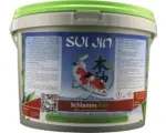 Hornbach Pflegemittel SUI JIN Schlamm Frei 5 Liter