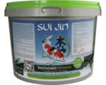 Hornbach Grundpflegemittel SUI JIN Teichstabil Mineral 2,5 kg
