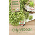 Hornbach Keimsprossen Sperli Bio-Kresse herb-pikant 'Keimsprossen'