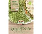 Hornbach Keimsprossen Sperli 'Alfalfa' mild-nussig