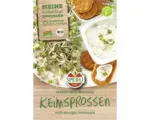 Hornbach Keimsprossen Sperli Mild-Aroma-Mix Bio