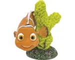 Hornbach Aquariumdekoration Findet Dorie - Nemo mit Koralle grün mini 5 cm