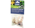 Hornbach Aquariumdekoration Hobby Schneckenhäuser Sea Shells Set L 5 Stück