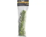 Hornbach Kunststoffpflanze ZOO MED Bolivian Croton Large