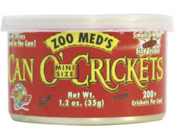 Konservierte Grillen ZOO MED Can O' Crickets Mini Size (200/can) 35 g