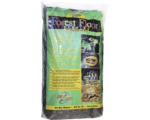 Hornbach Bodengrund ZOO MED Forest Floor 26,4 l