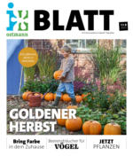 Blumen Ostmann GmbH Goldener Herbst - bis 11.10.2023