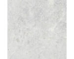 Hornbach Feinsteinzeug Bodenfliese Dione lappato 60x60 cm weiß seidenmatt rektifiziert