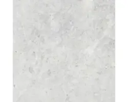 Feinsteinzeug Bodenfliese Dione lappato 60x60 cm weiß seidenmatt rektifiziert