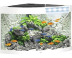 Hornbach Aquarium JUWEL Trigon 190 mit LED-Beleuchtung, Filter, Heizer ohne Unterschrank weiß