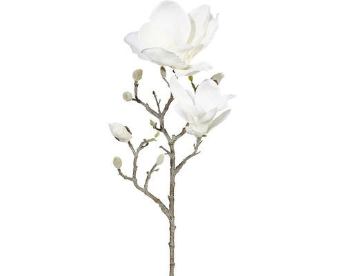 Kunstblume Magnolie gefrostet Höhe: 63 cm weiß