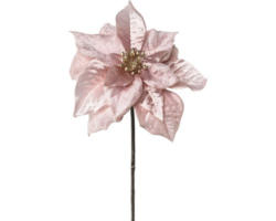 Kunstblume Poinsettie Velvet Höhe: 50 cm rosa