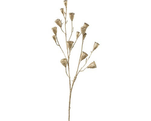 Kunstpflanze Mohnkapselzweig Höhe: 68 cm gold