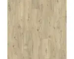 Hornbach Laminat 12.0 Limerick Eiche B5:B47Sandbeige