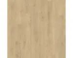 Hornbach Laminat 8.0 Redmond Eiche hell