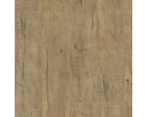 Laminat 8.0 Springfield Eiche natur