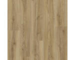 Hornbach Laminat 8.0 Masterfloor Aqualine Oak Cordova Elegante