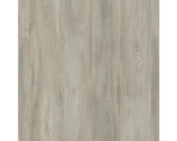 Laminat Skandor 8.0 Cloud Pine