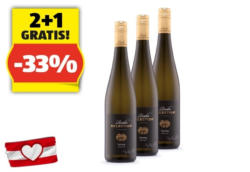 Riesling Rieden Selection, 0,75 l