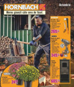 Hornbach Catalog Hornbach până în data de 05.11.2023 - până la 05-11-23