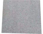 Hornbach FLAIRSTONE Granit Terrassenplatte Phoenix grau 60 x 60 x 3 cm