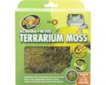 Hornbach Bodengrund ZOO MED Terrarium Moss L 2,3 l