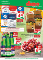 Dino gazetka do 10.10.2023 Dino – do 10.10.2023