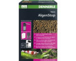 Hornbach Phosphatentferner DENNERLE Nano AlgenStop 300 ml