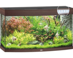 Aquarium JUWEL Vision 180 mit LED-Beleuchtung, Heizer, Filter ohne Unterschrank dunkles Holz