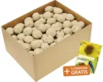 Hornbach Ganzjahresvogelfutter Meisenknödel Protein 100 Stück