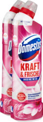 Domestos Kraft & Frische WC-Gel Floral Fresh, 2 x 750 ml