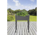 Hornbach Hochbeet auf Stelzen Gr. 1 60 x 30 x 80 cm anthrazit