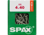 Hornbach Spax Universalschraube Torx T20, Halbrundkopf, 4x40 mm, 100 Stück