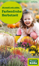 Pflanzen-Kölle Gartencenter Pflanzen Kölle: Farbenfrohe Herbstzeit - bis 05.11.2023