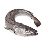 Mix Markt Seehecht, tiefgefroren / lose - bis 31.05.2025