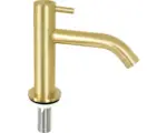 Hornbach Kaltwasser Armatur Differnz gold matt