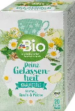 dm drogerie markt dmBio Früchtetee Deine Gelassenheit