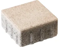 Kombipflaster ATRIUM® 14 beige mix 6 cm