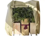 Hornbach Wintervlies-Haube Videx Mega Roll-Up 250x200 cm beige