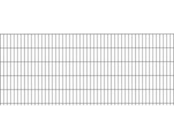 Doppelstabmatte 6/5/6 251x103 cm anthrazit