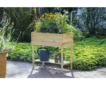 Hornbach Hochbeet auf Stelzen dobar inkl. Ablage 80 x 40 x 78 cm natur